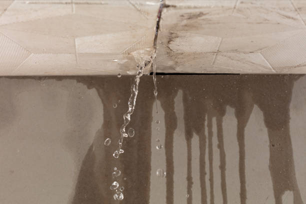 Professional Burst Pipe Cleanup technician working in Delmar, MD